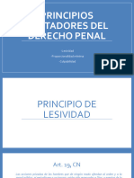 Principios Limitadores Del Derecho Penal (Lesividad, Proporcionalidad Mínima y Culpabilidad)