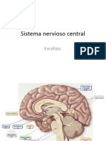 SNC Encéfalo