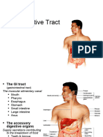 Lecture 22 - The Digestive Tract