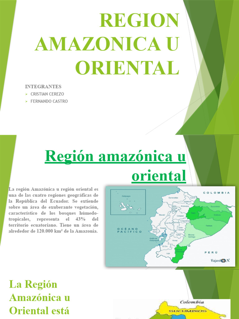 Características de la Región Amazónica | PDF | Ciencias de la Tierra