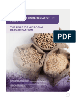 Bioremediation Mycotoxins EN