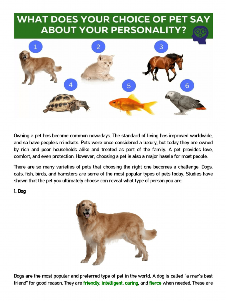 What Does Your Choice of Pet Say About You | PDF