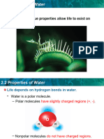 Properties of Water