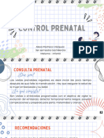 Rotafolio Control Prenatal