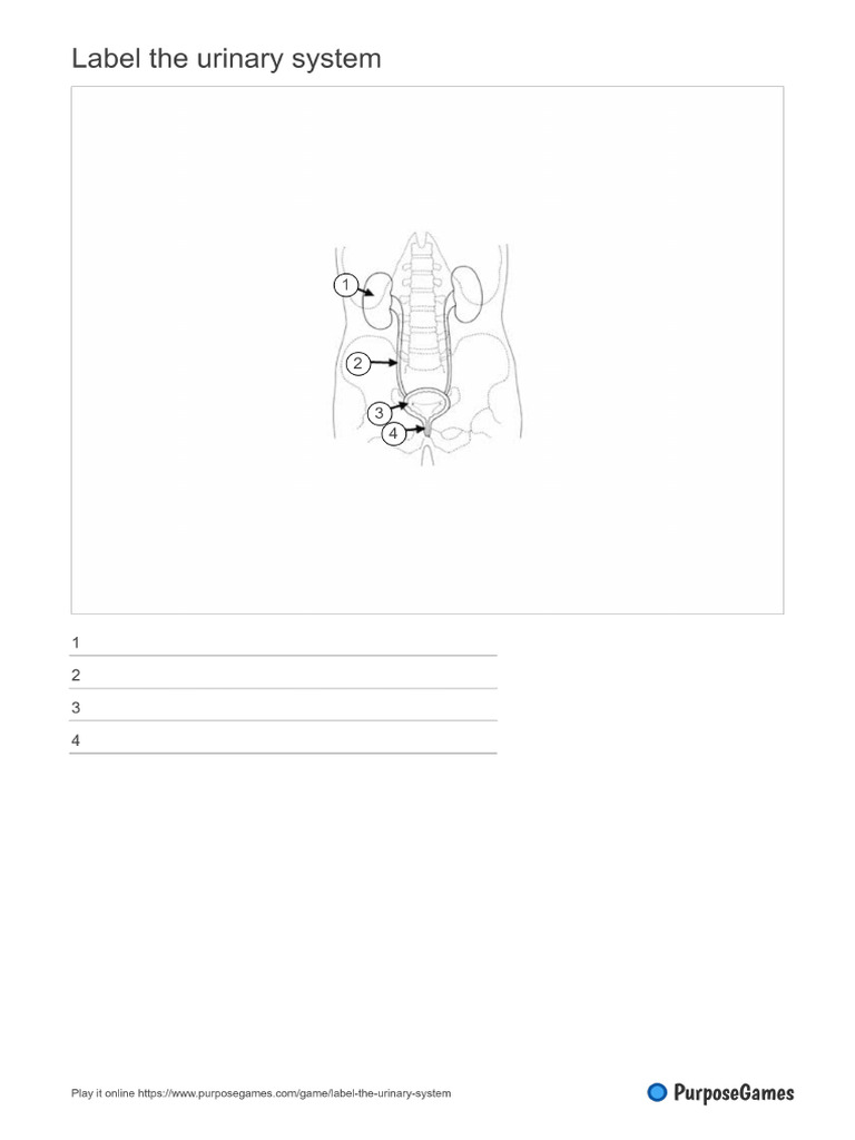 Worksheet | PDF
