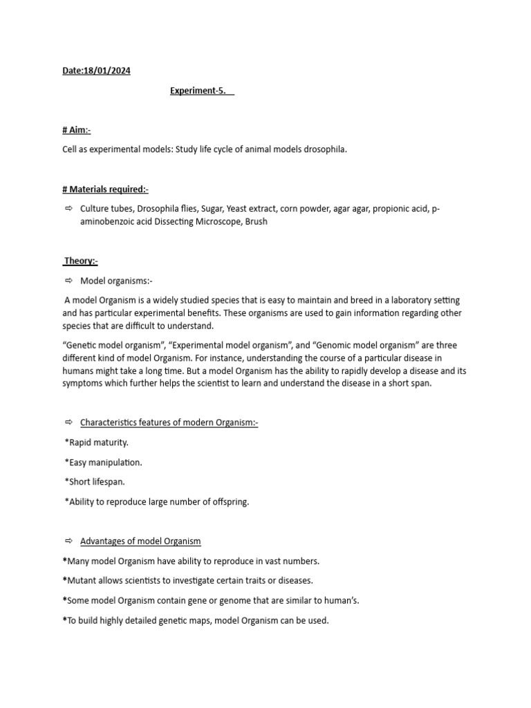 Drosophila | PDF | Model Organism | Drosophila Melanogaster