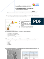 Prueba - Diagnóstica - de - CT - 4° - Sec