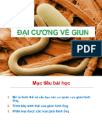 Bài 3-Giun-Sán-DH22