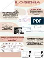 Infografia Filogenia