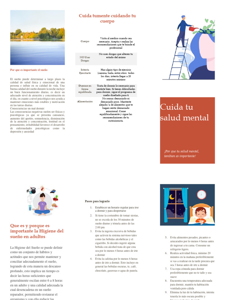 Higiene Del Sueño | PDF | Dormir | Las emociones