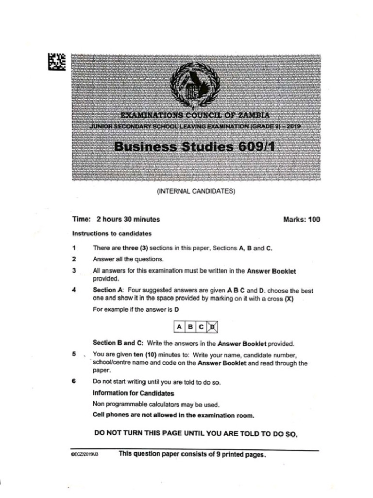 2019 Business Studies Past Paper | PDF