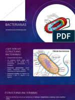 Clase N°2 Estructuras Bacterianas MVET