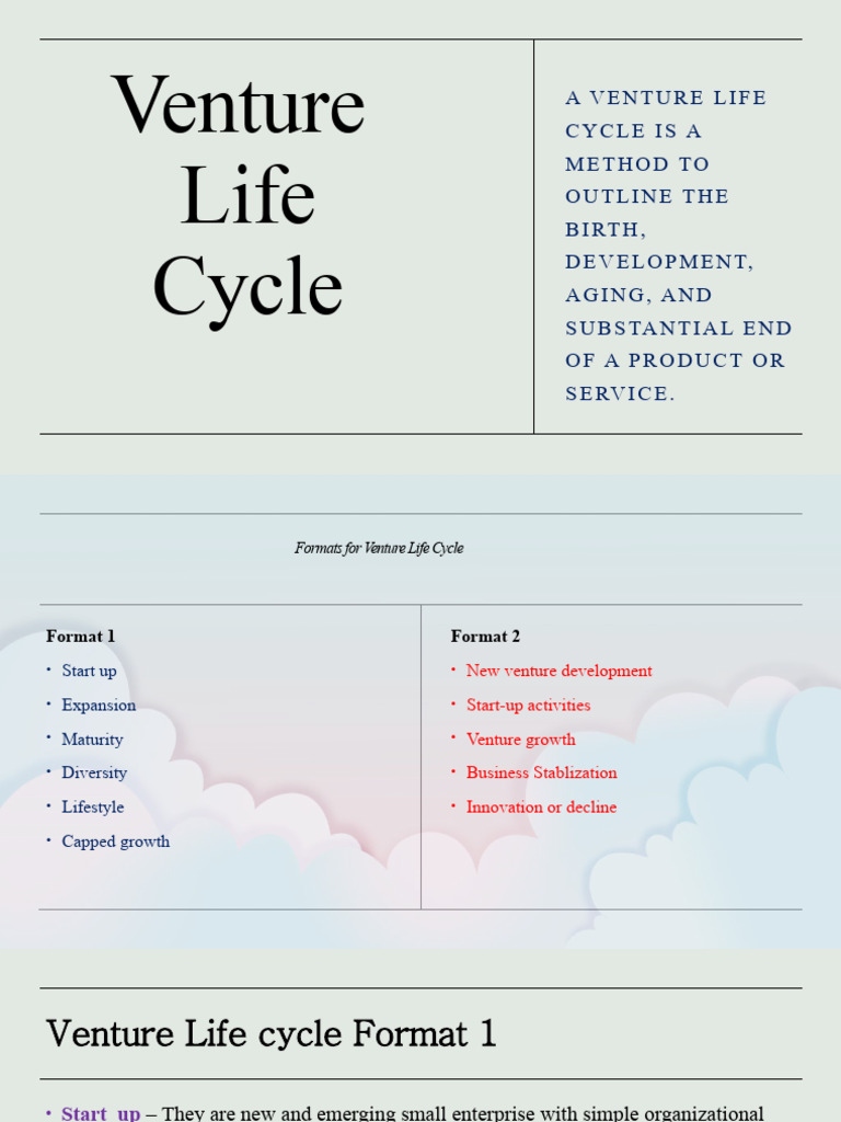 Venture Life Cycle | PDF | Entrepreneurship | Startup Company