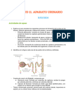 Noelia Nogales Godoy - Actividades UD.11