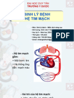 Sinh lý bệnh hệ tim mạch
