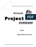 MS Project personalização