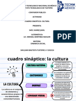 Cuadro Sinóptico - Saúl Suarez - Dinámica Social