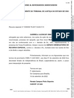 Agravo em Recurso Especial 1030035-79.2017.8.26.0114