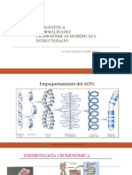 Citogenetica Generalidades