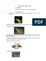 Especialidad de Anfibios