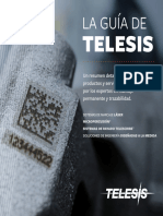 TelesisGuide 20200504 Spanish
