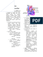 Patologia - Sistema Cardiovascular