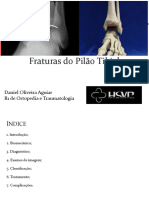 Fraturas Do Pilão Tibial