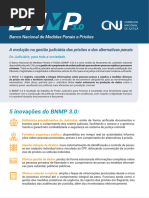 Manual do Usuário do BNMP3 | PDF | Prisão