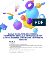 Pasivo Circundante, Provisiones Contabilizaciones