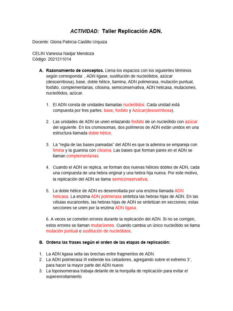 Taller sobre Replicación del ADN | PDF | Adn | Replicación De Adn