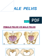 Female Pelvis From Gynae and Obs Point of Veiw