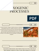 Exogenic Processes