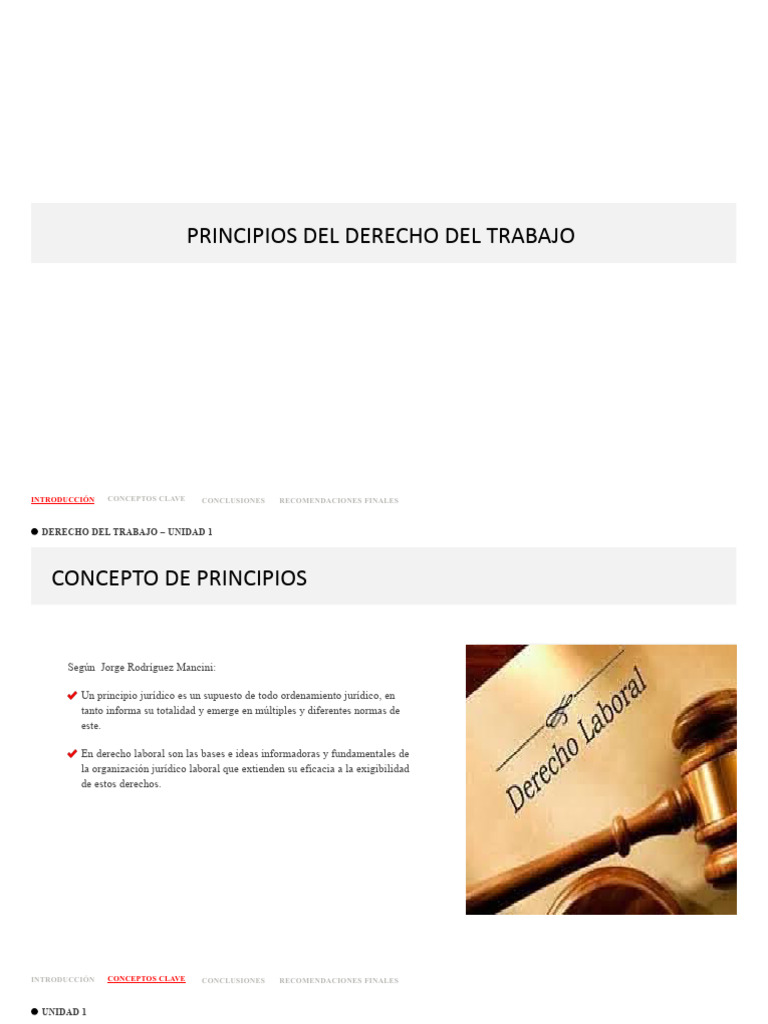 Principios del Derecho Laboral Esenciales | PDF | Derecho laboral ...