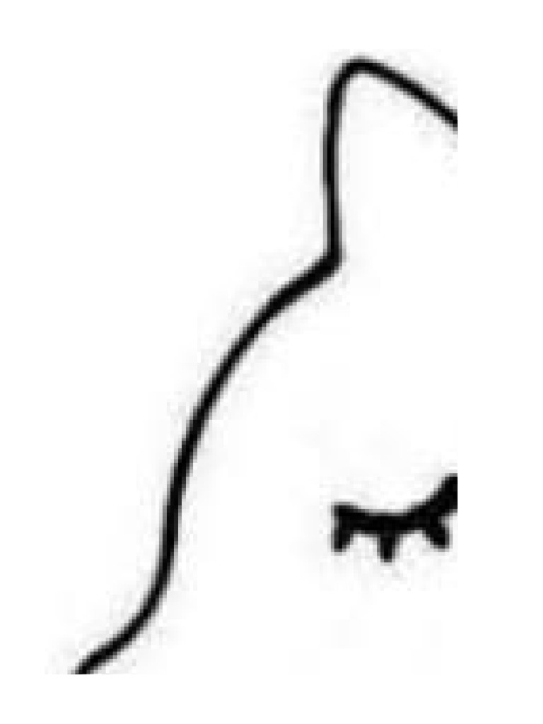 unicornio-wiwi-pdf
