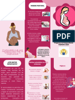 Brochure Triptico Curso Lactancia Materna Organico Rosado