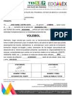 Voleibol: San Felipe Del Progreso, Estado de México A 29-08-2023