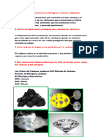 1 Cómo Ingresa El Carbono y El Nitrógeno A Nuestro Organismo