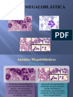 6 Anemia Megaloblastica Clase Act