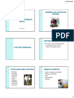 Intestino Grosso PDF