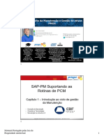 SAP - PM Rotinas PCM Cap1 - Introdução