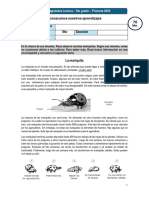 .Archivetemp5to-Prueba Diagnóstica Lectura