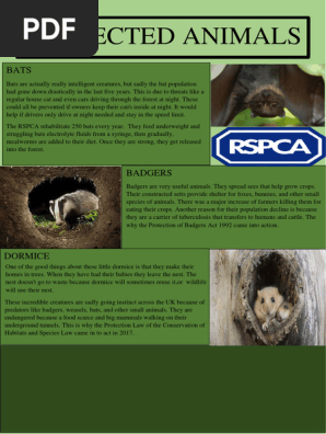 HC Fact File Protected Animals DRAFT 3