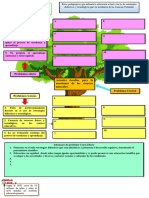 Trabajo Final Árbol Problema