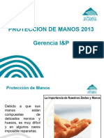 Proteccion de Manos 2013-Rev