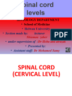 3 - Spinal Cord Levels - Practical - Audio