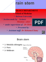 4 - Mid Brain - Pons ..Section - Audio