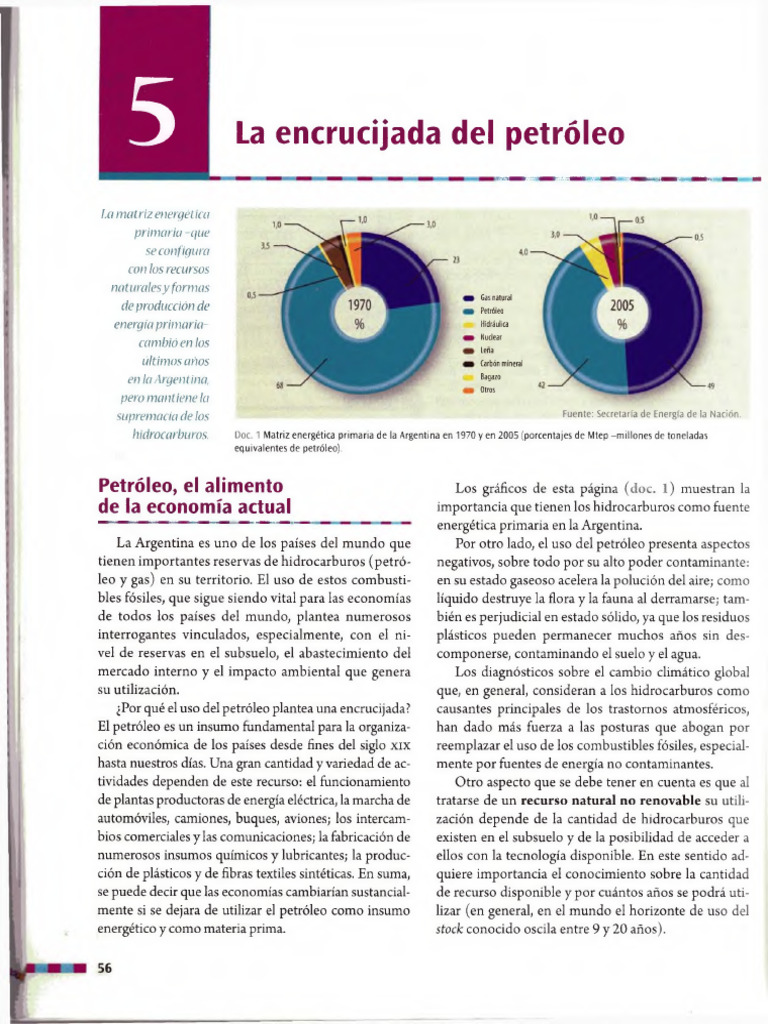 Encrucijada del Petróleo en Argentina | PDF | Petróleo | Gas natural