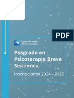 Programa Del Posgrado 2024 PDF