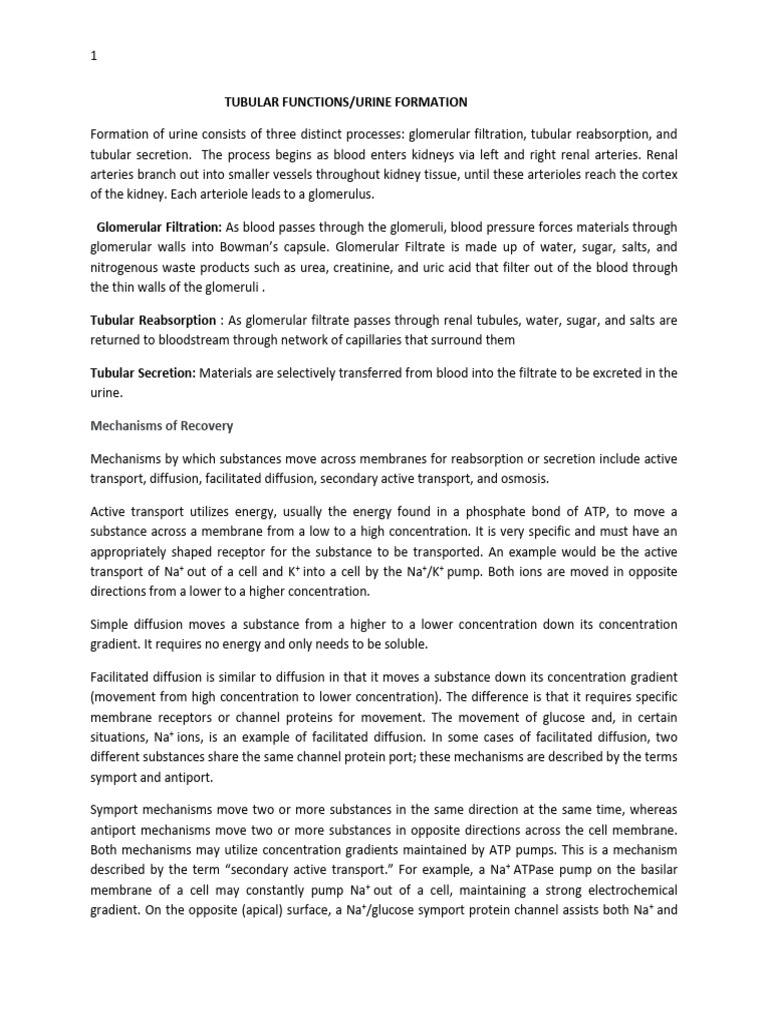 Renal Note Pdf Kidney Urinary System