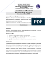 Plano de Trabalho - Jéssica Gonçalves Braga